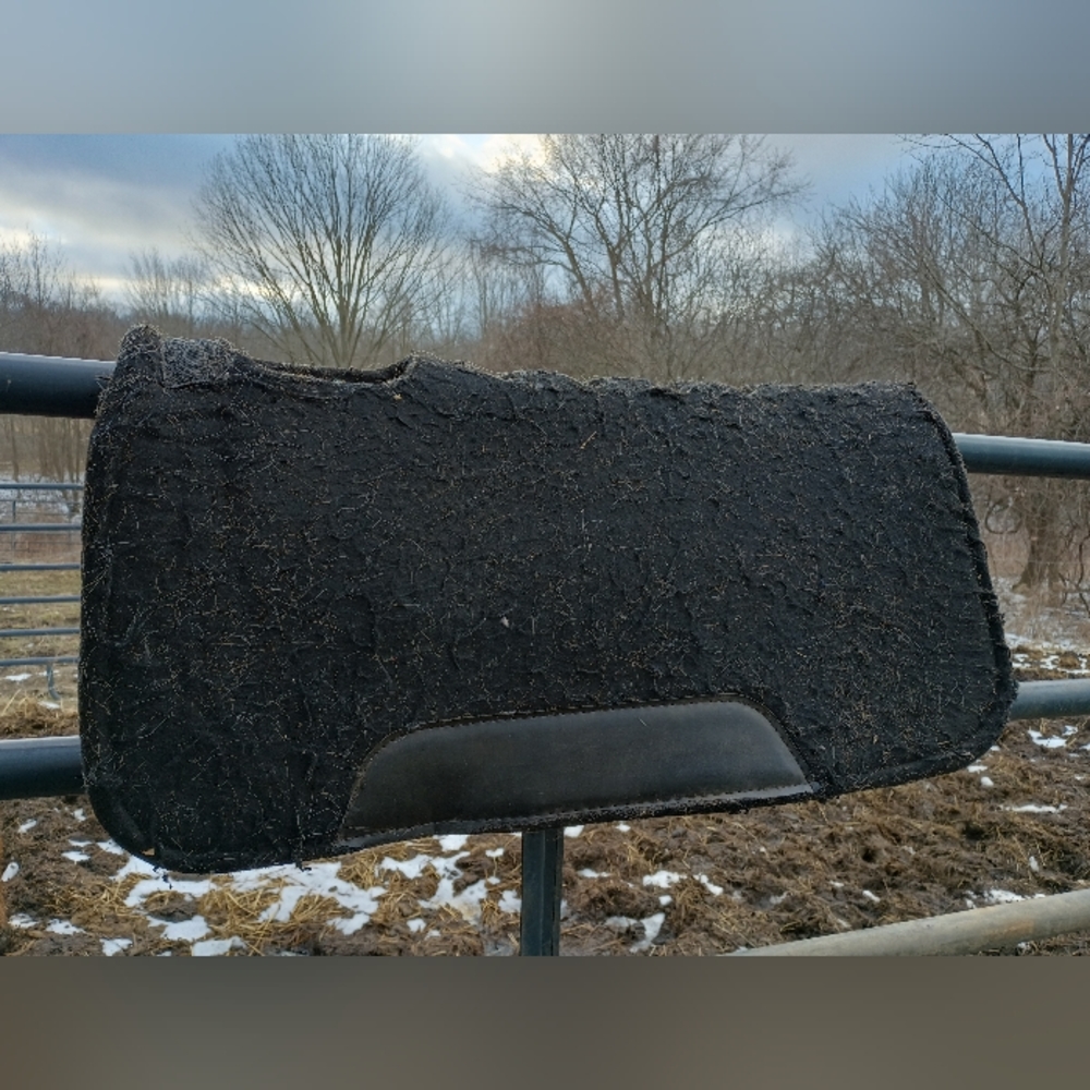 Felt western saddle pad, 1" thick x 31"